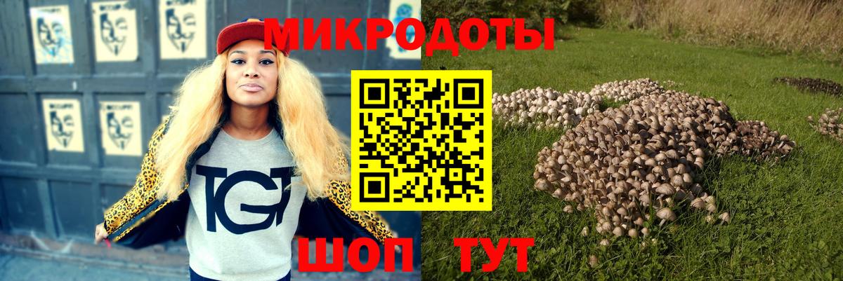 Полысаево  Галлюциногенные грибы Magic Shrooms  дарнет шоп  Вход с VPN  Галлюциногенные грибы Cubensis 
