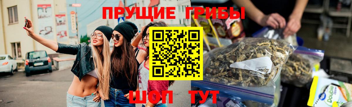 Галлюциногенные грибы Magic Shrooms Полысаево